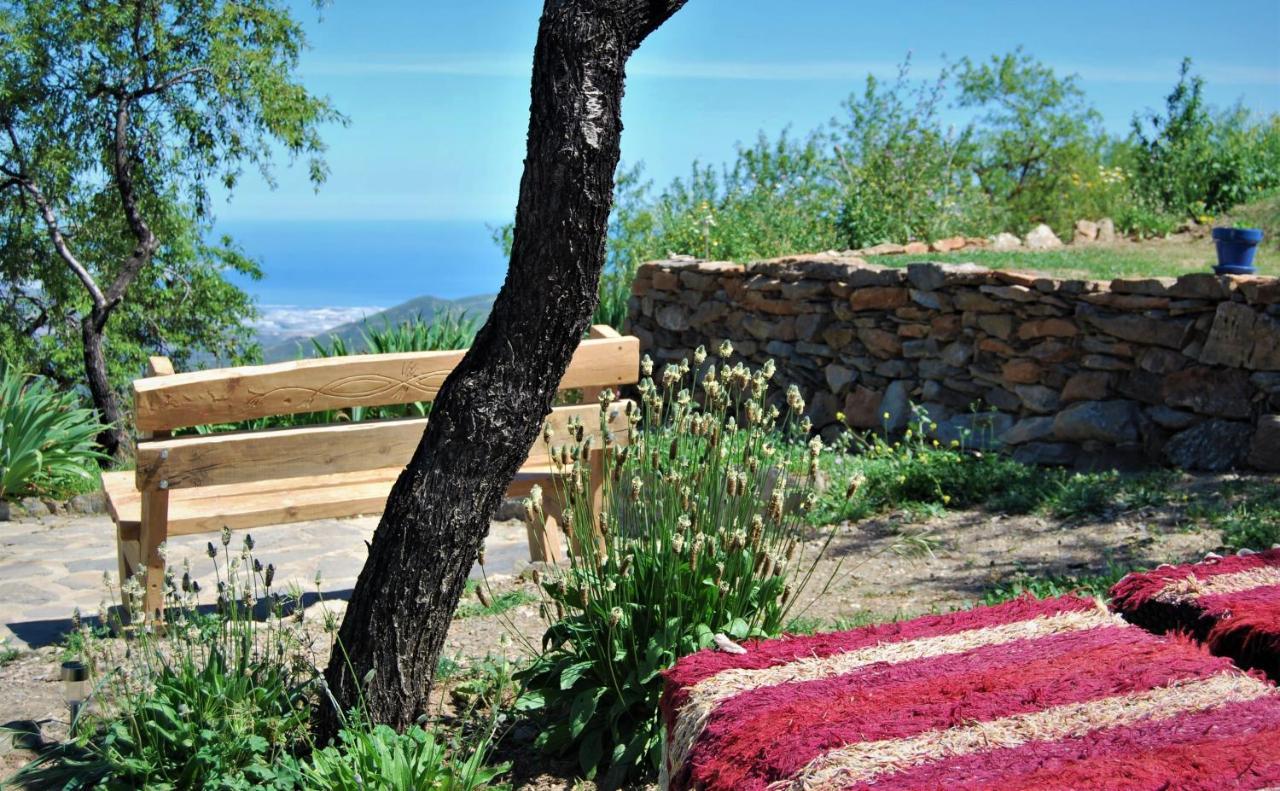Cortijo Los Maximos Turon Ngoại thất bức ảnh