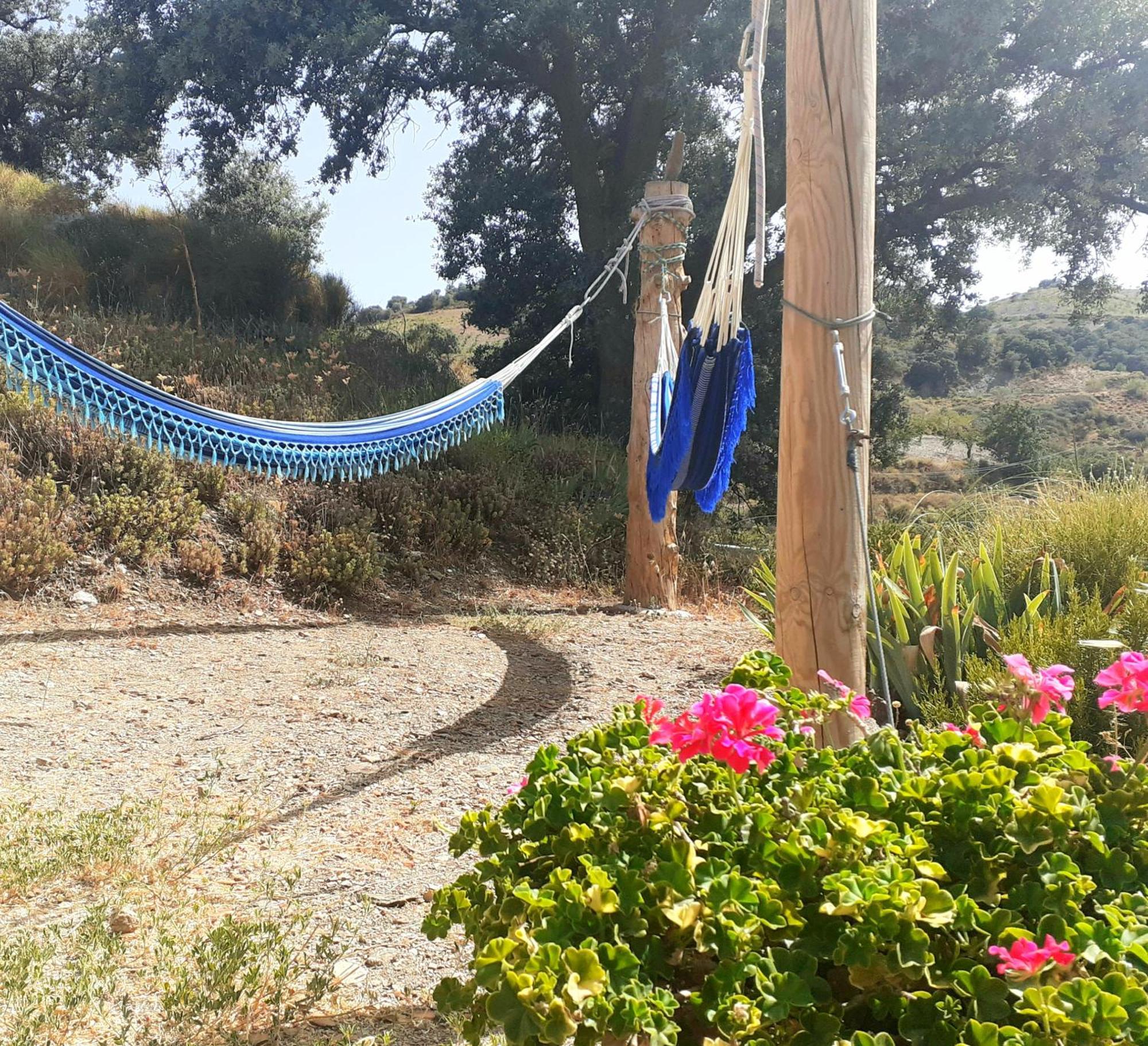 Cortijo Los Maximos Turon Ngoại thất bức ảnh