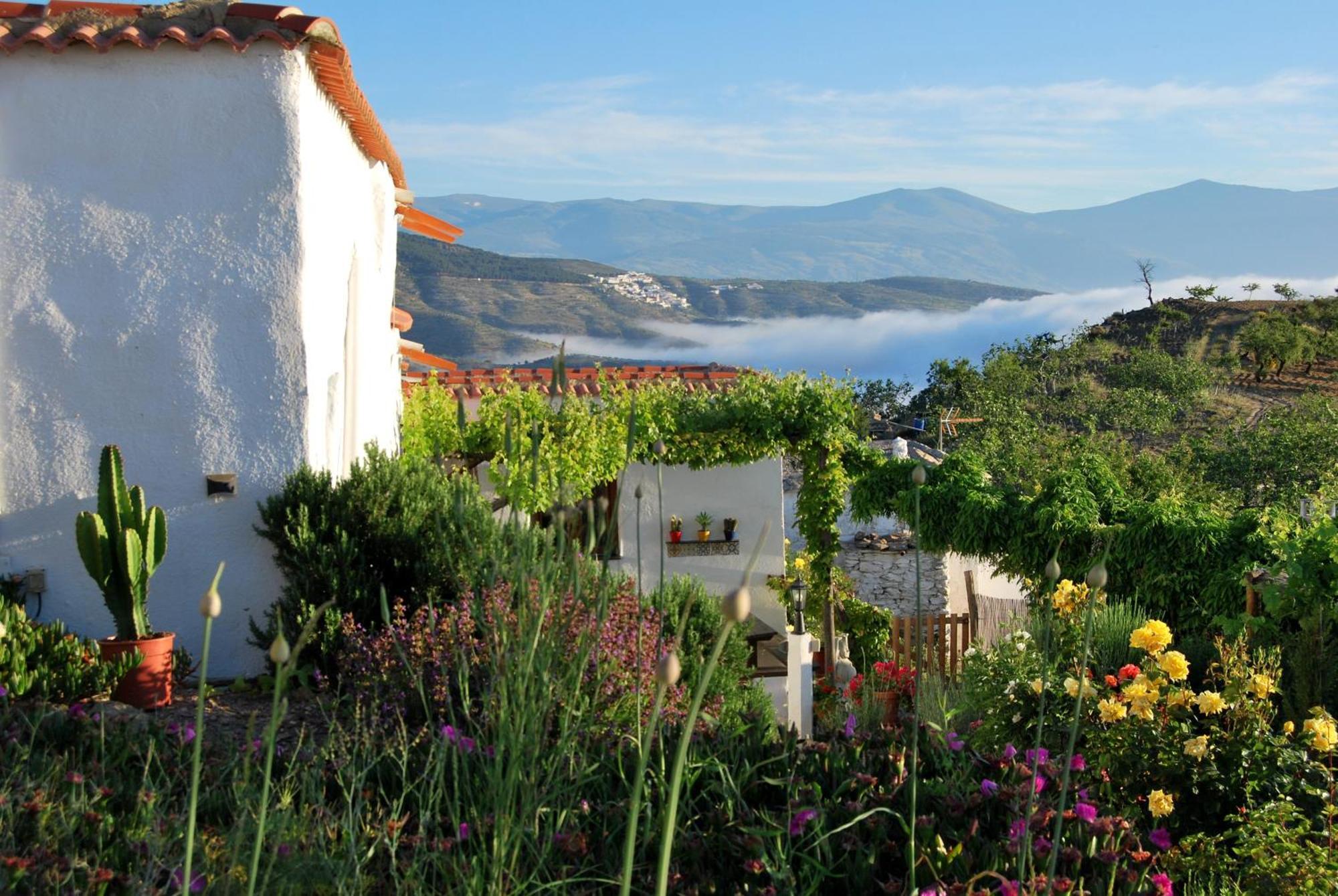 Cortijo Los Maximos Turon Ngoại thất bức ảnh
