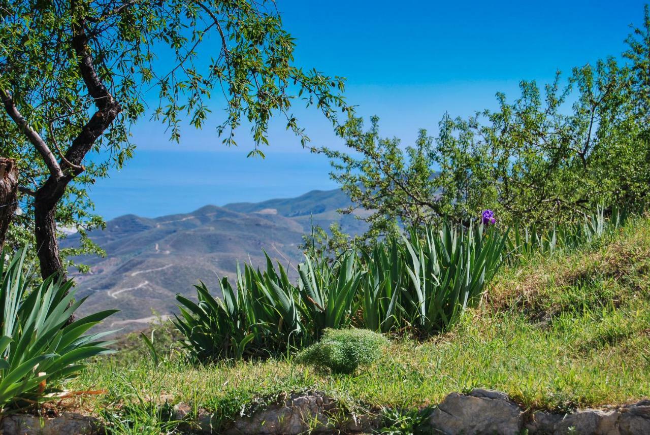 Cortijo Los Maximos Turon Ngoại thất bức ảnh