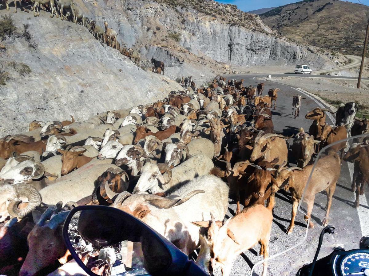 Cortijo Los Maximos Turon Ngoại thất bức ảnh